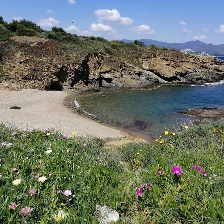 הוילה El Port De La Selva Casa Platja D'En Robert מראה חיצוני תמונה
